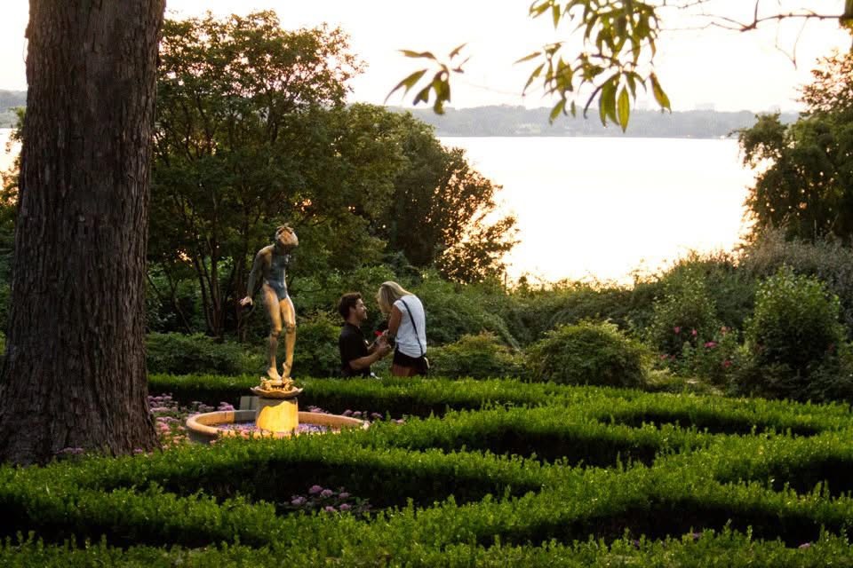 proposal at the dallas arboretum

